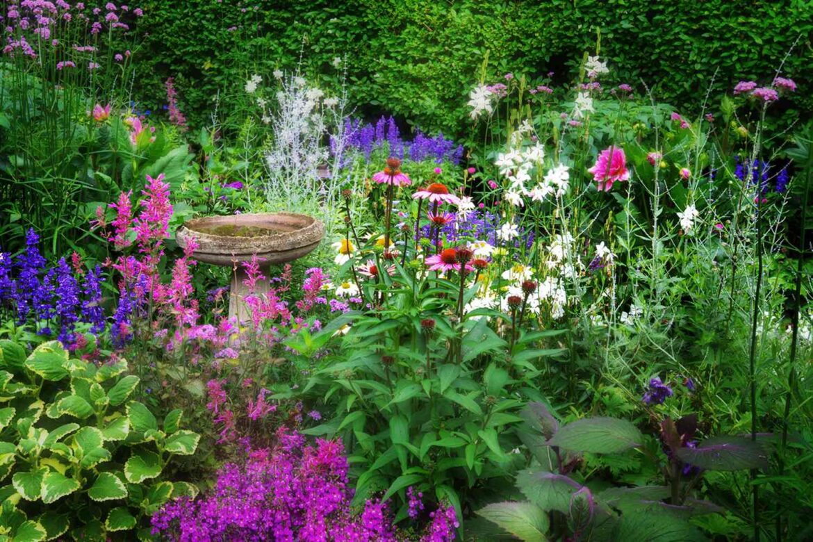 15 Cottage Garden Flowers for a Lush, Romantic Landscape