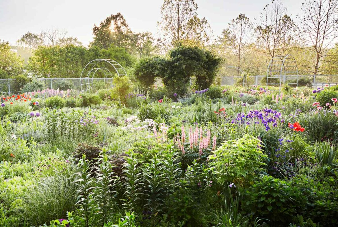 7 Things to Never Do When Planning a Garden