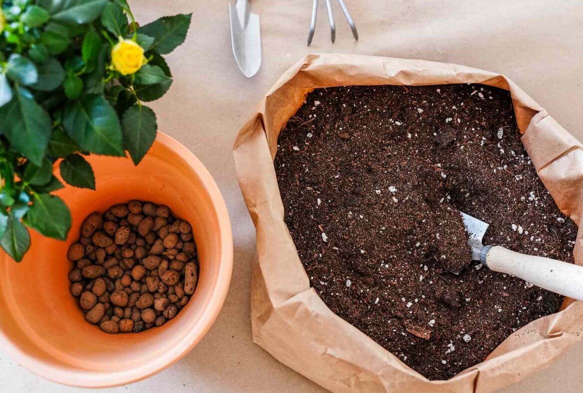 Can You Reuse Old Potting Soil in Your Garden? Can You Reuse Old Potting Soil in Your Garden?