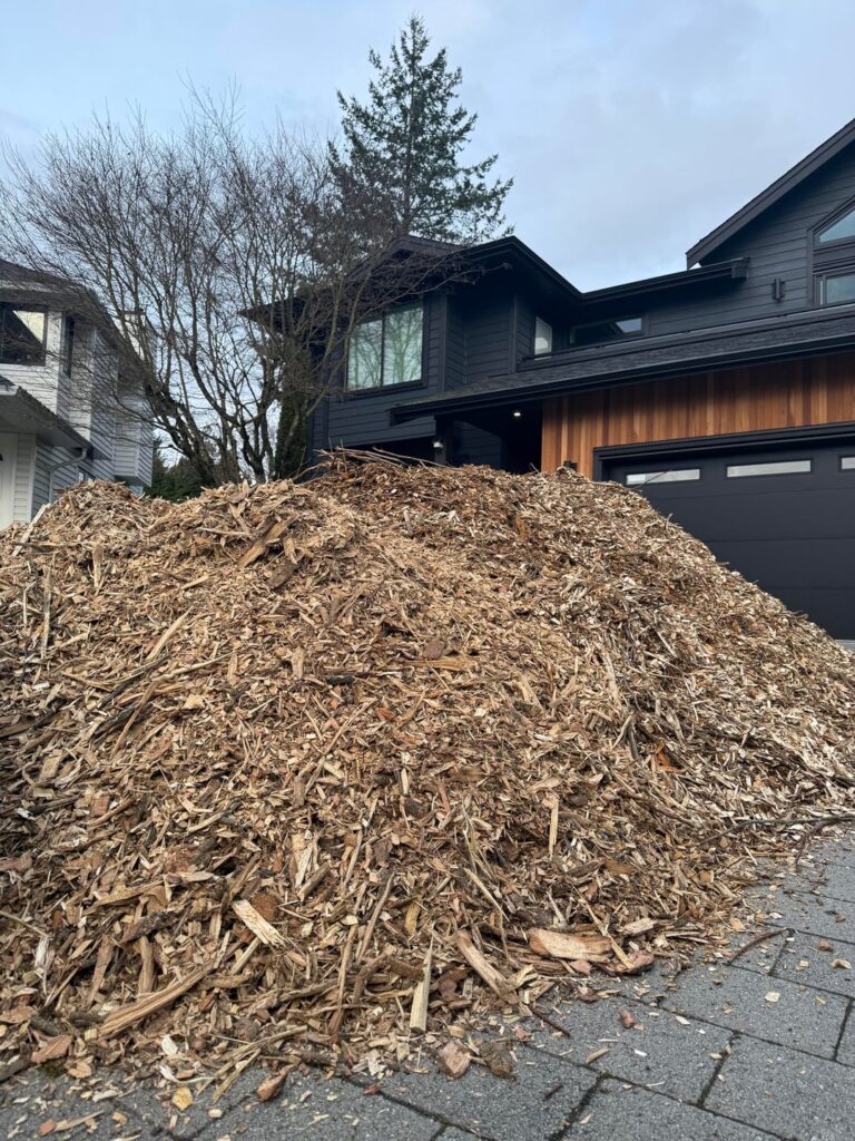 You know you’re in a different stage of life when wood chips excite you…..