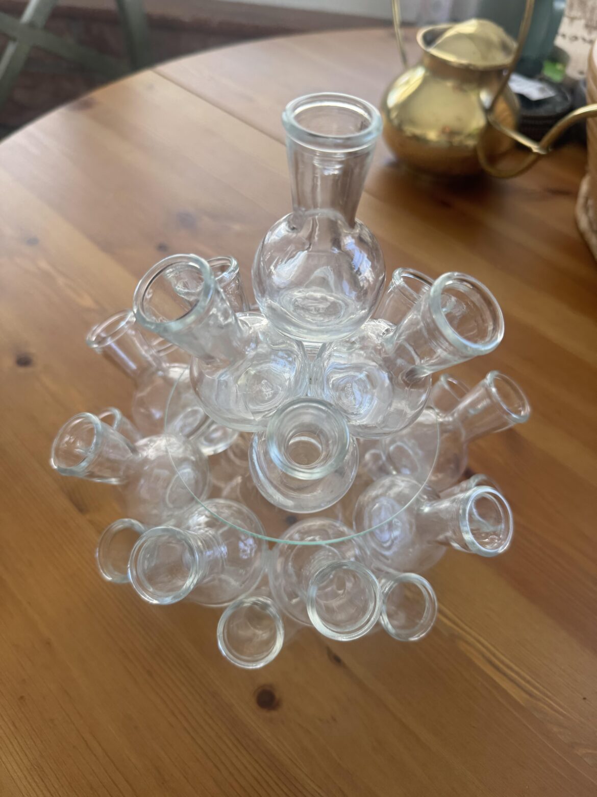 Propagation vase! 🍃