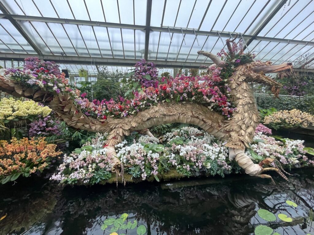 Orchid festival at Kew, celebrating lunar new year.