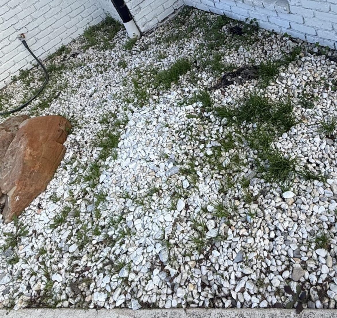 What is the best tool to dig these rocks up?