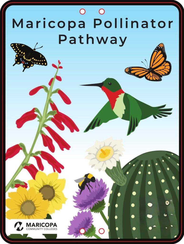 Garden was certified by the county today! Phoenix, 9b