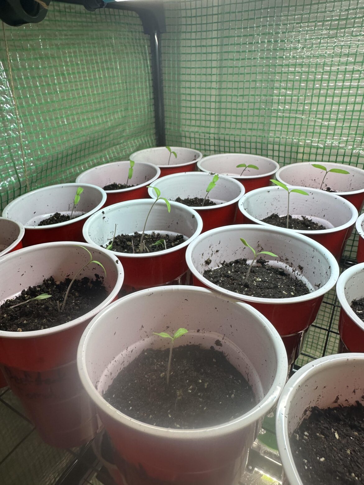 Options to Correct Course!