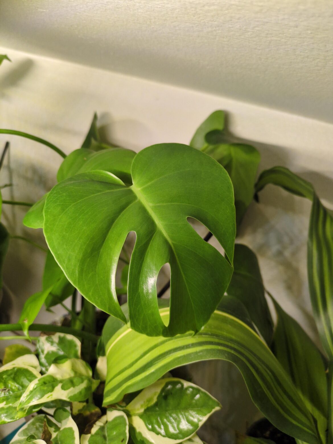 She's growing up ☺️