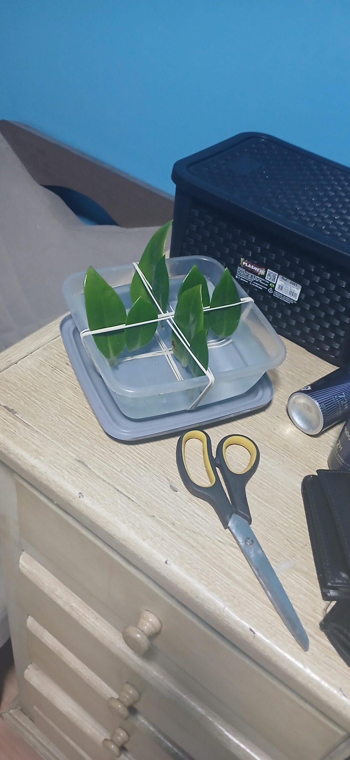 Wish me luck. I know ZZ takes A WHILE.