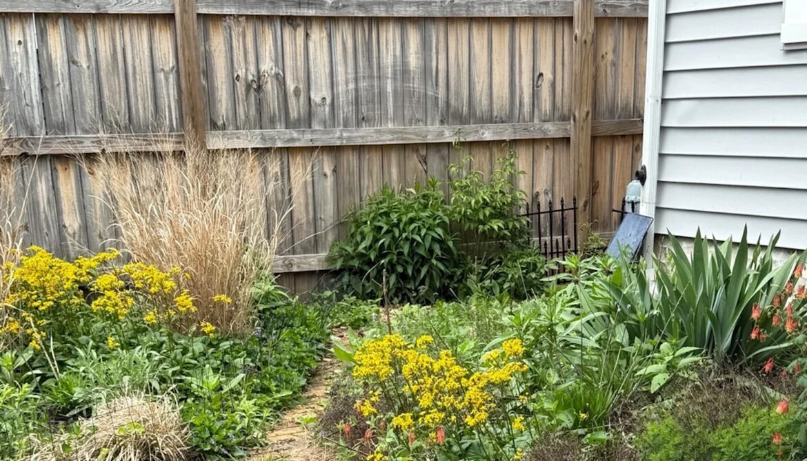 One Redditor shared images of their native garden (in USDA Zone 6b) from last summer, and it's a masterpiece.
