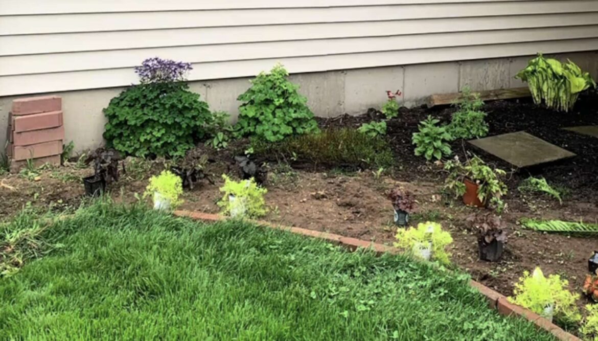 Gardener shares stunning before-and-after footage of yard transformation: ‘So beautiful’ One gardener shared the jaw-dropping progress of their garden, full of native plants, between 2021 and 2025.