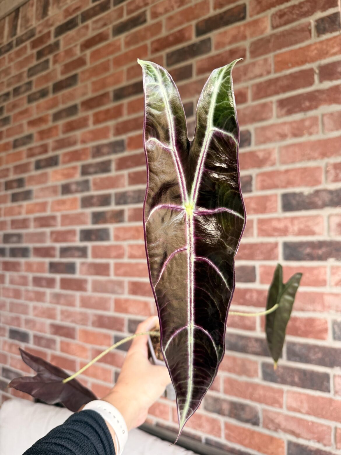 Hello beautiful 😍