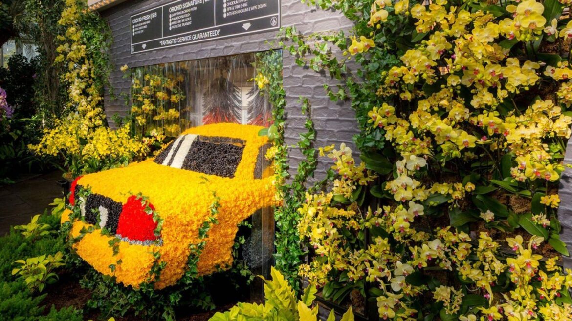 Watch New York Bloom At This Botanical Garden’s Orchid Show