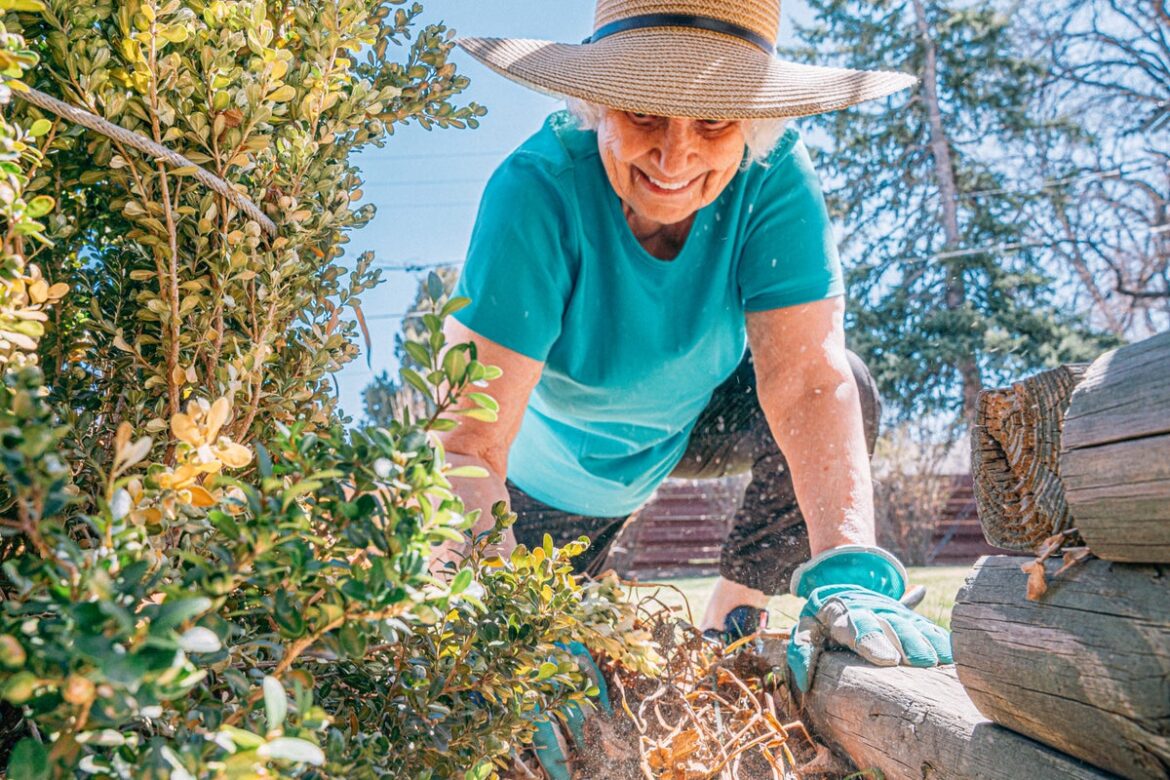 The best flowers and plants to spruce up your spring garden, according to the experts