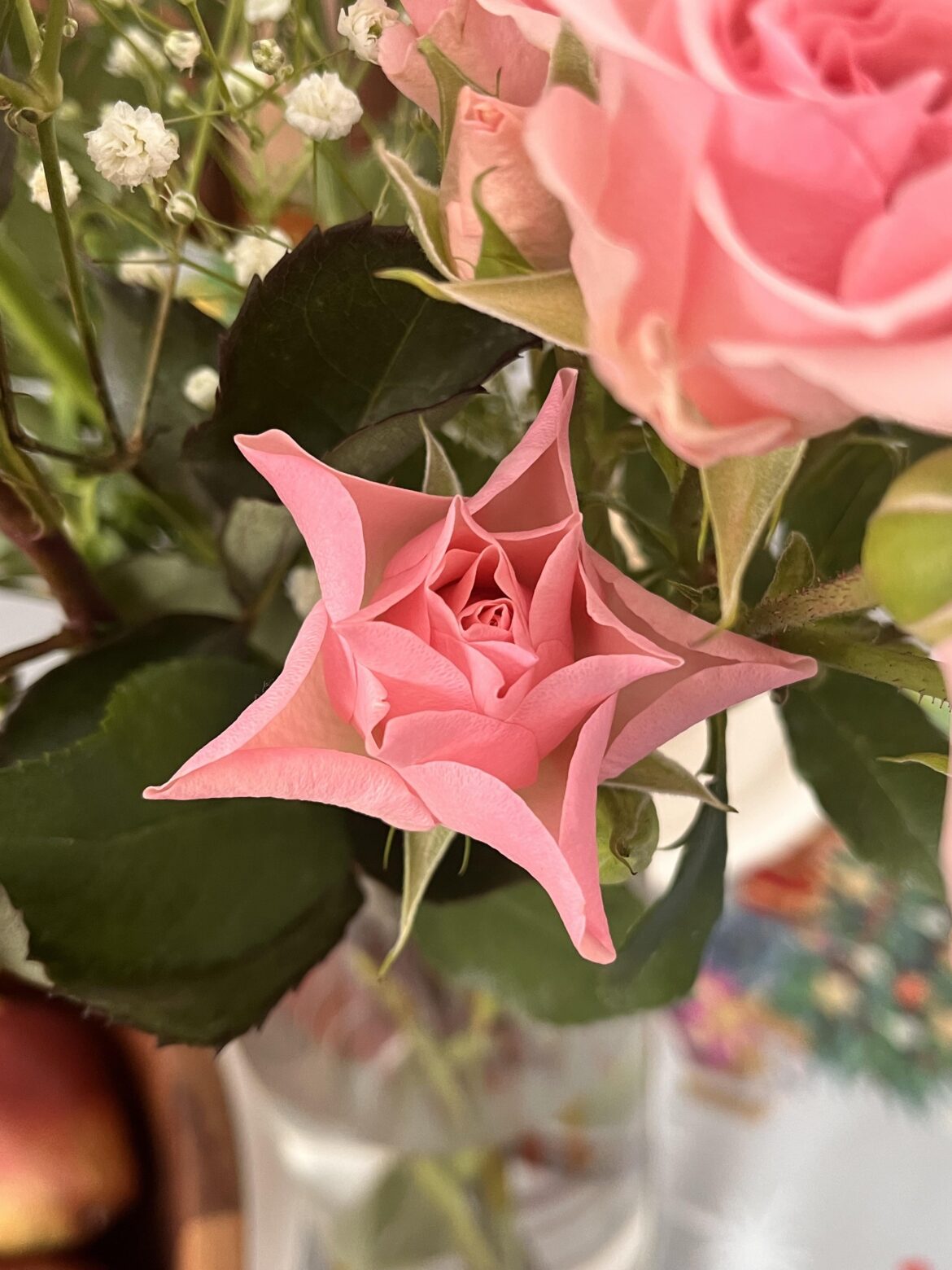 What could have caused this cool looking rose petal formation?