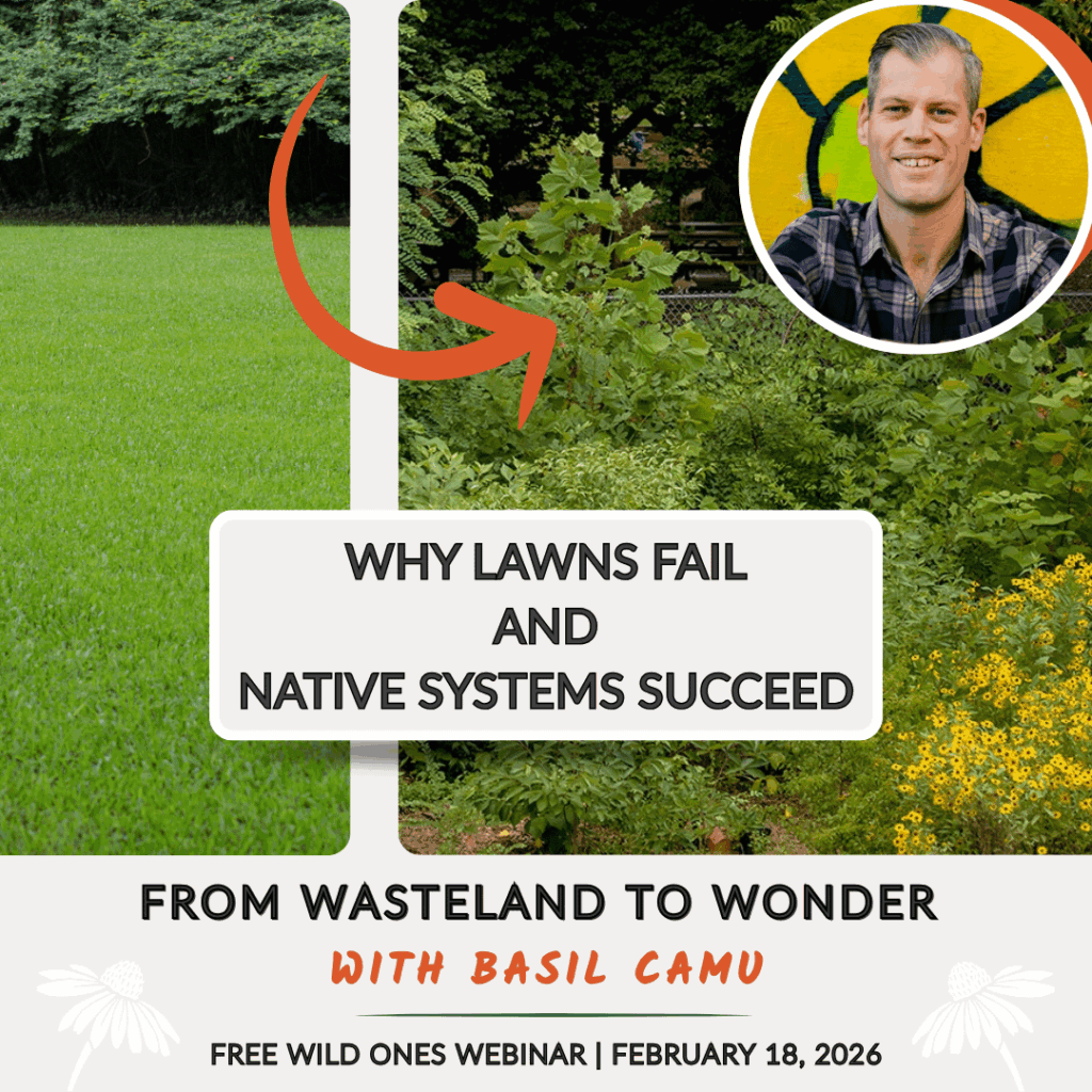 From Wasteland to Wonder with Basil Camu From Wasteland to Wonder with Basil Camu