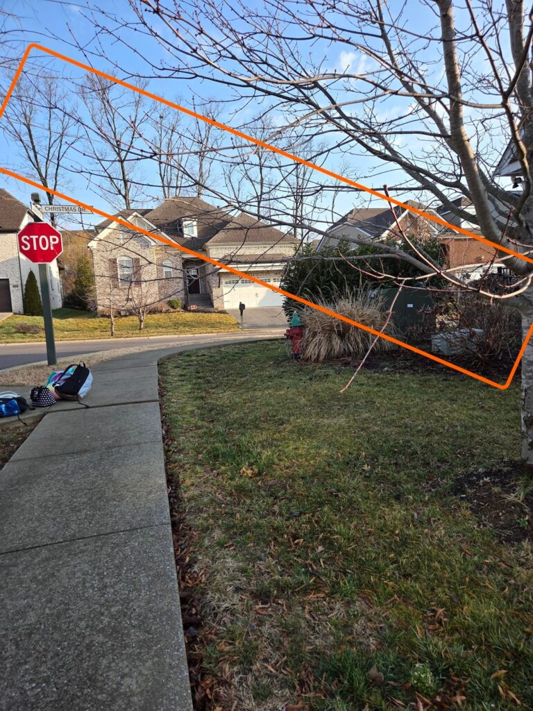 Question about trimming a tree limb