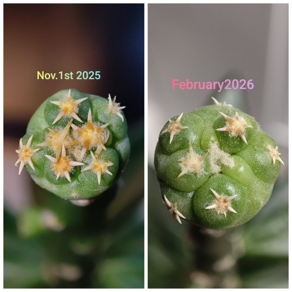 Progress