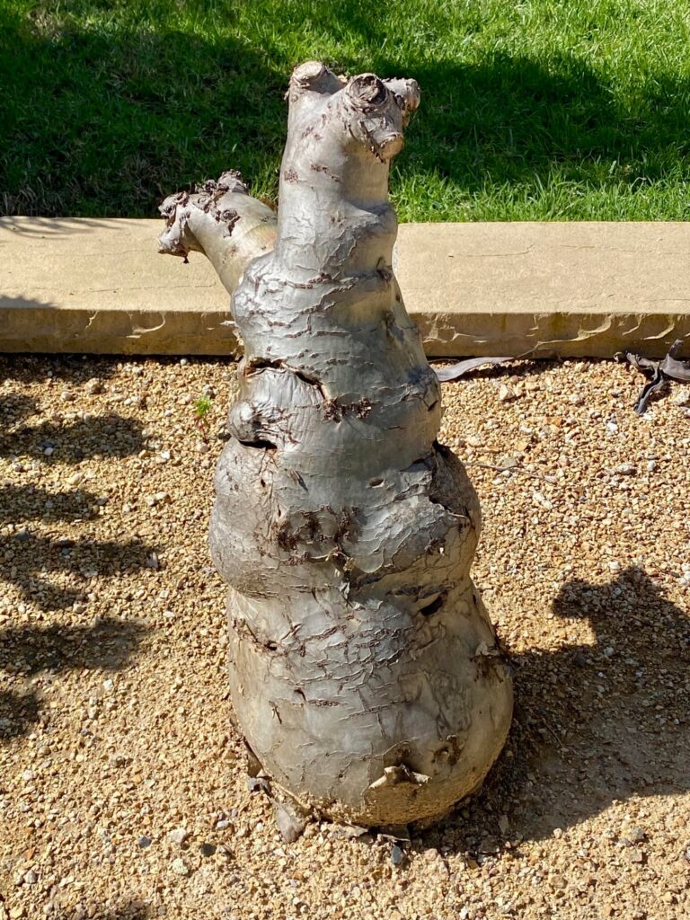 A few of my favorites