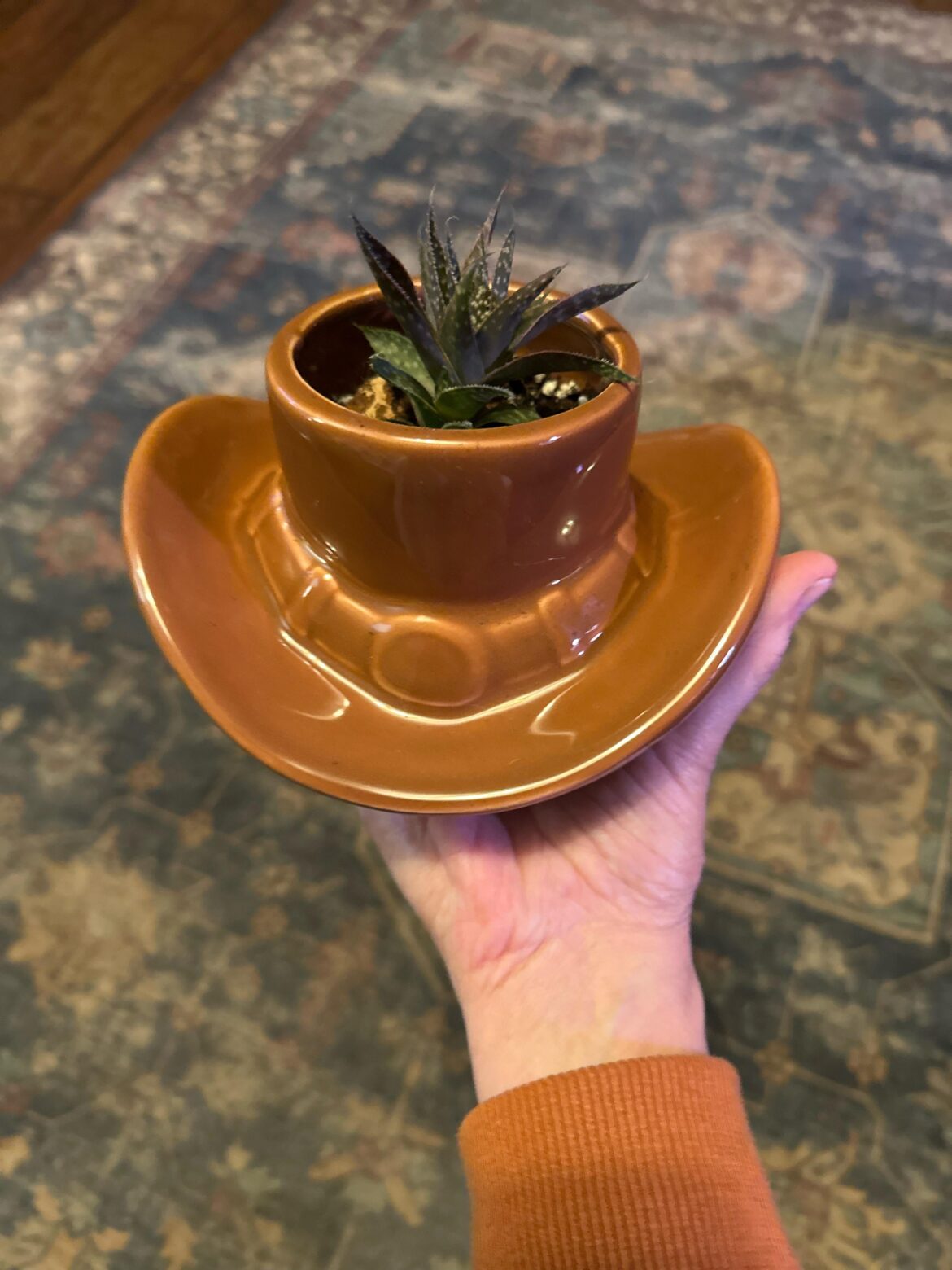 Dollar store planter