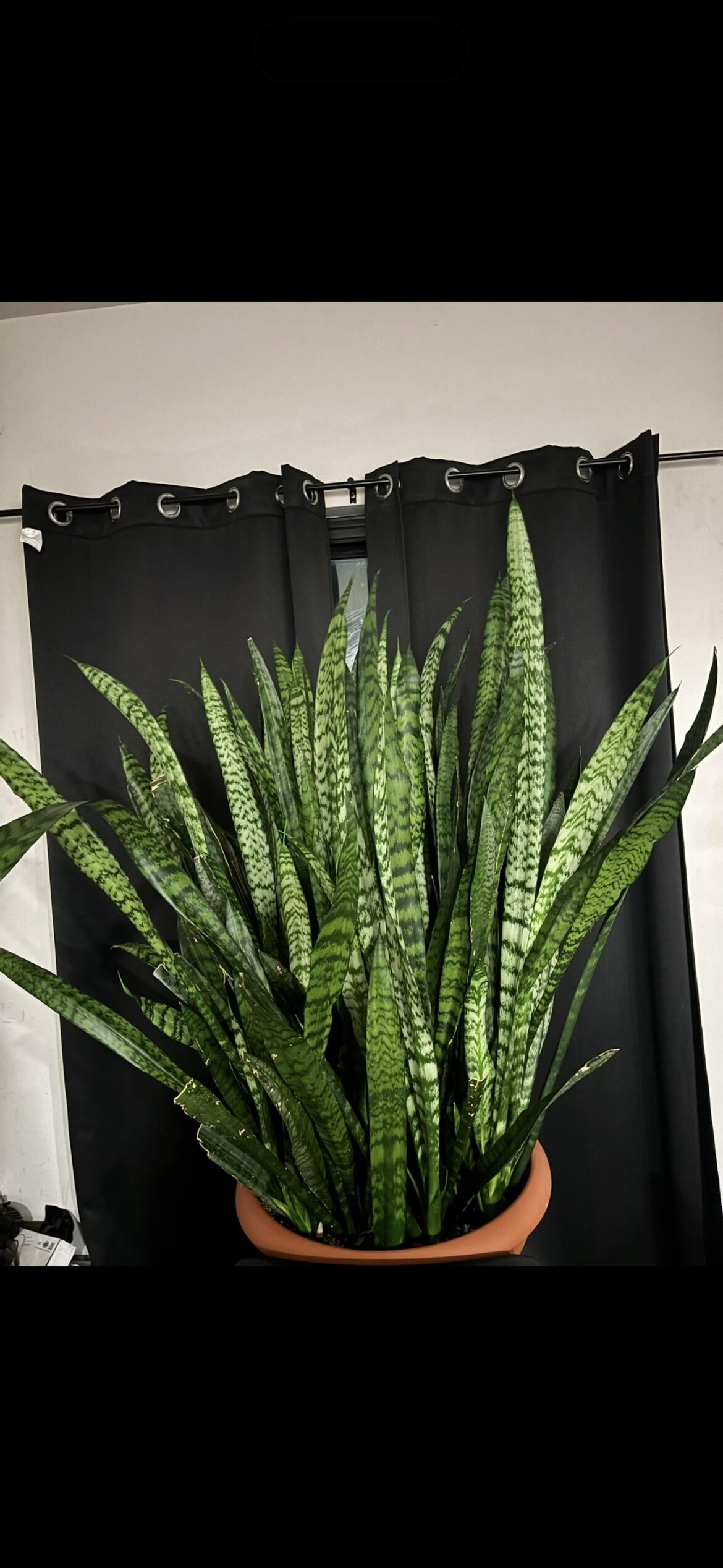Just wanted to show off my 5 year old
