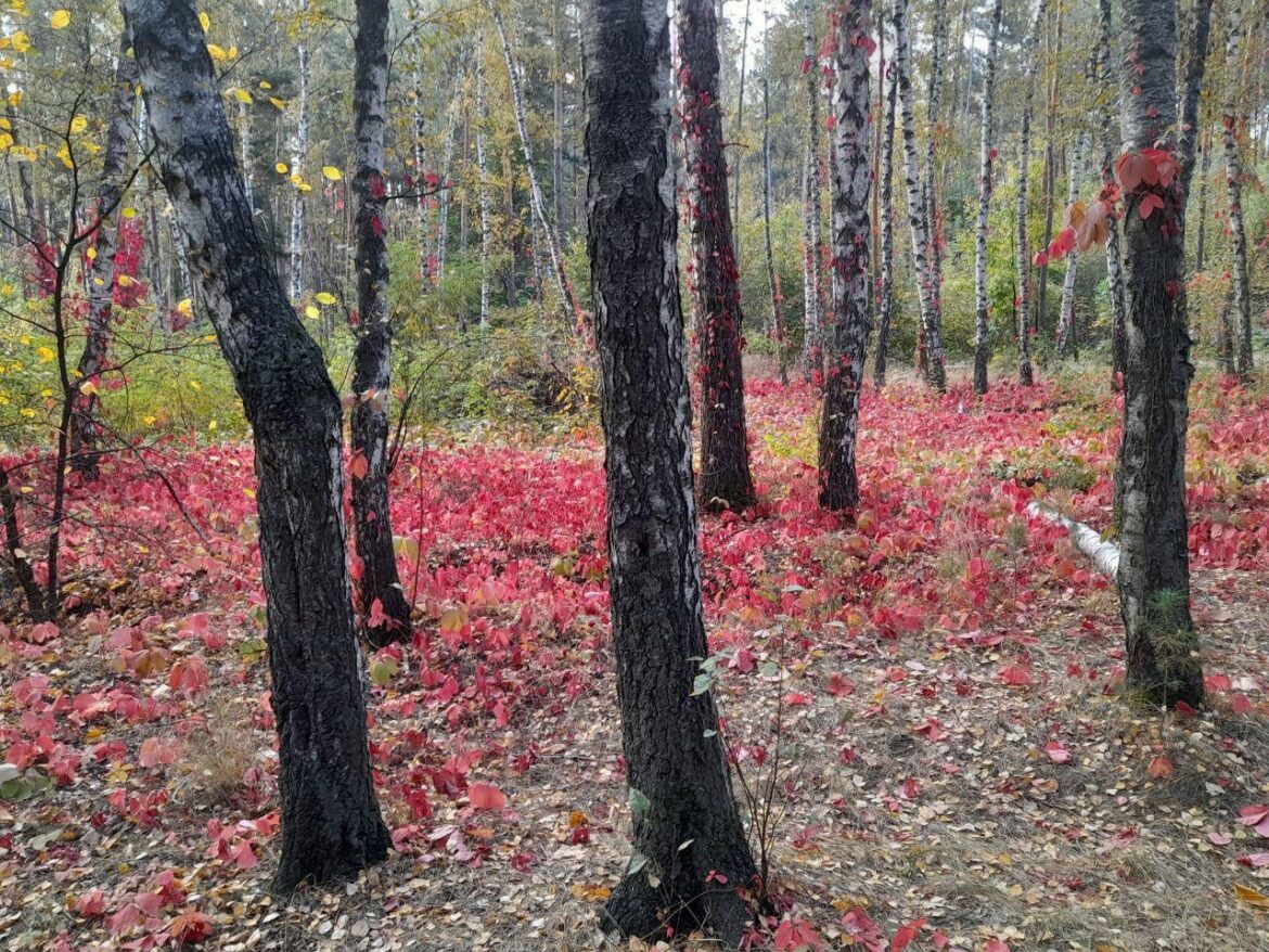 A question that has been bothering me