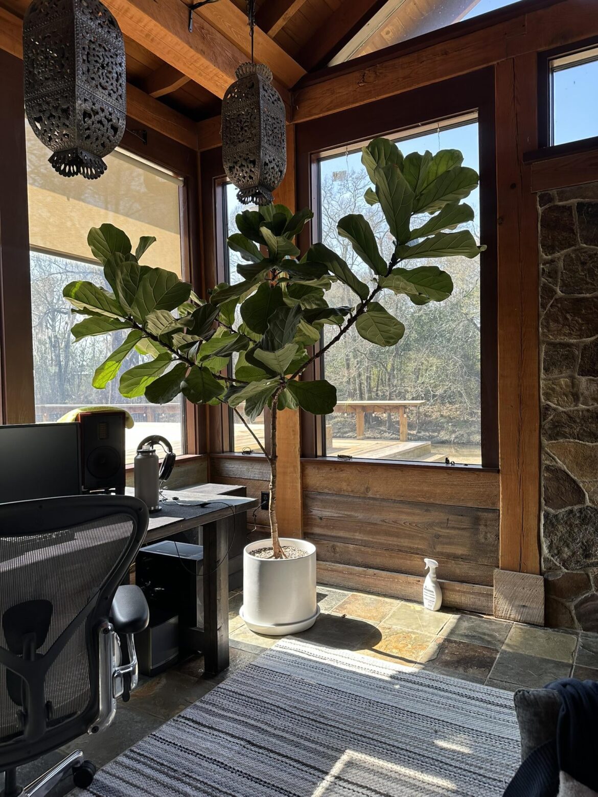 Need pot size recommendation - is +4" too much?