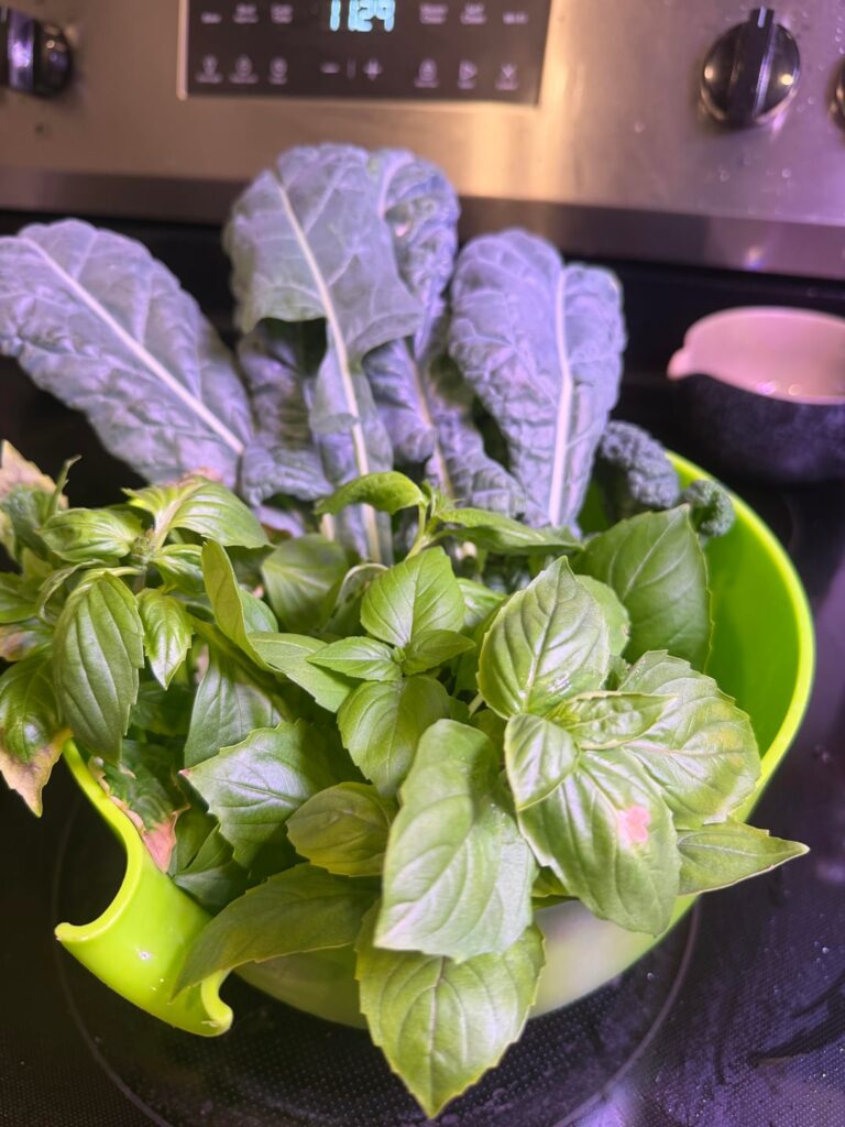 A bountiful harvest 😌