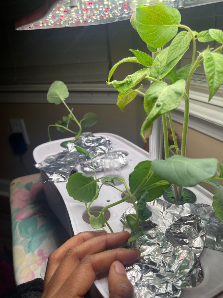 First time and a lot of questions lol