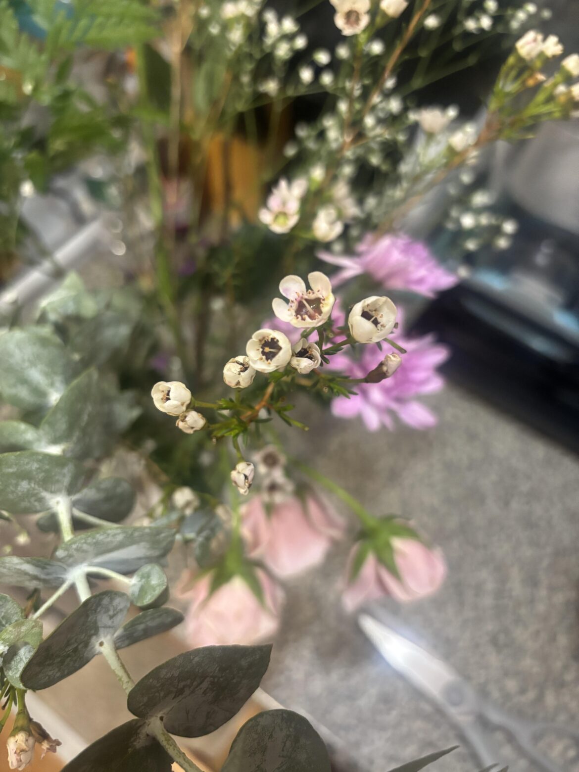 What is this flower? Got it in a bouquet and have never seen it before.