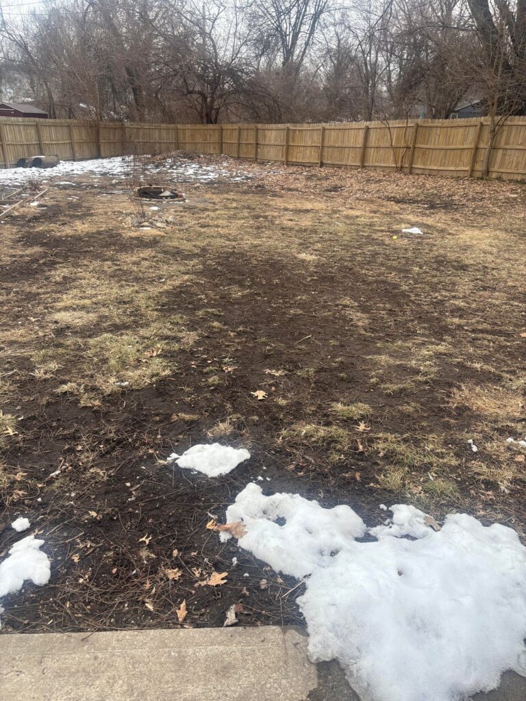 New homeowner advice