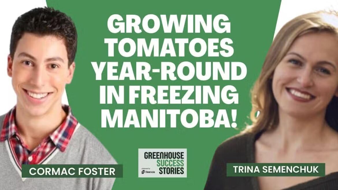 What happens when you pack 55,000 tomato plants into a winter greenhouse? Discover the steamy, tropical oasis hiding from subzero temperatures—and the surprising challenge growers face with all that humidity! What happens when you pack 55,000 tomato plants into a winter greenhouse? Discover the steamy, tropical oasis hiding from subzero temperatures—and the surprising challenge growers face with all that humidity!
