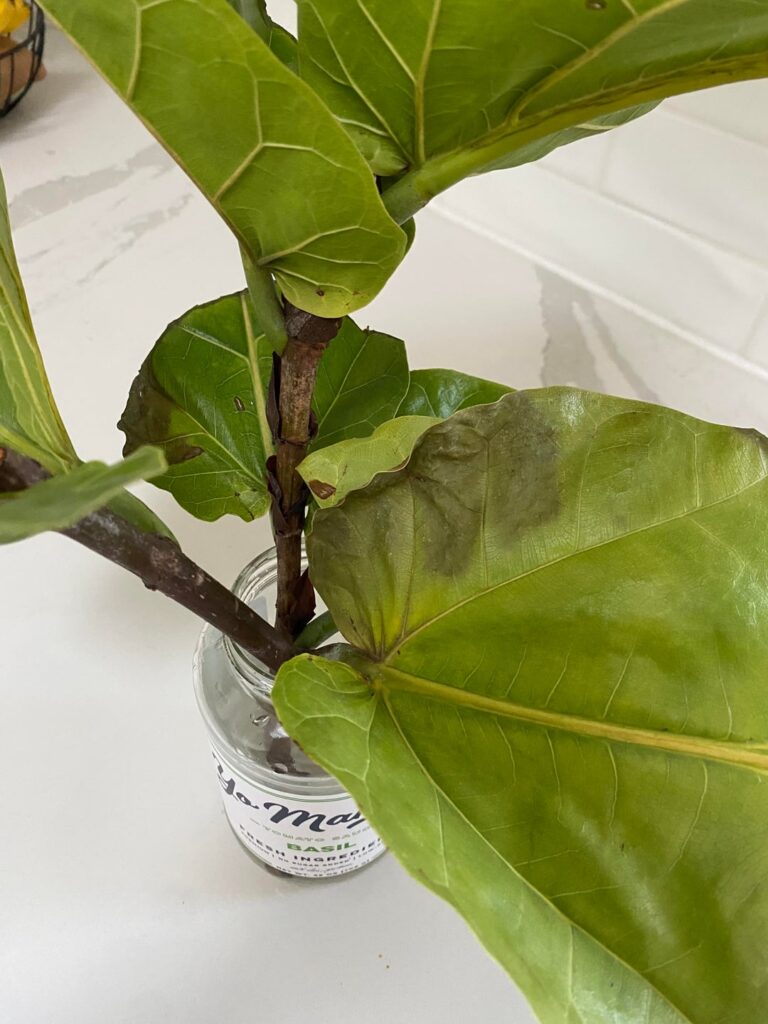 Did I kill my prop?