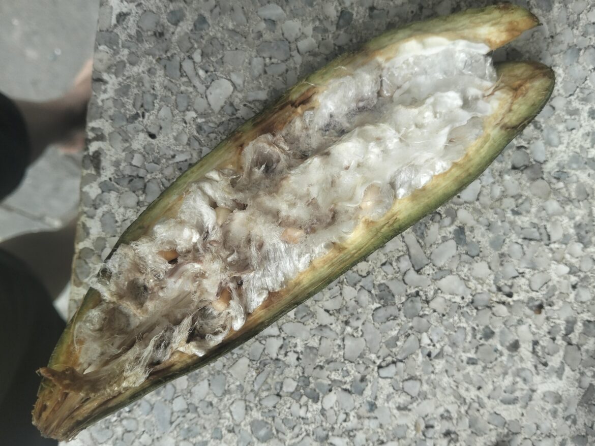 Anyone know what this could possibly be?