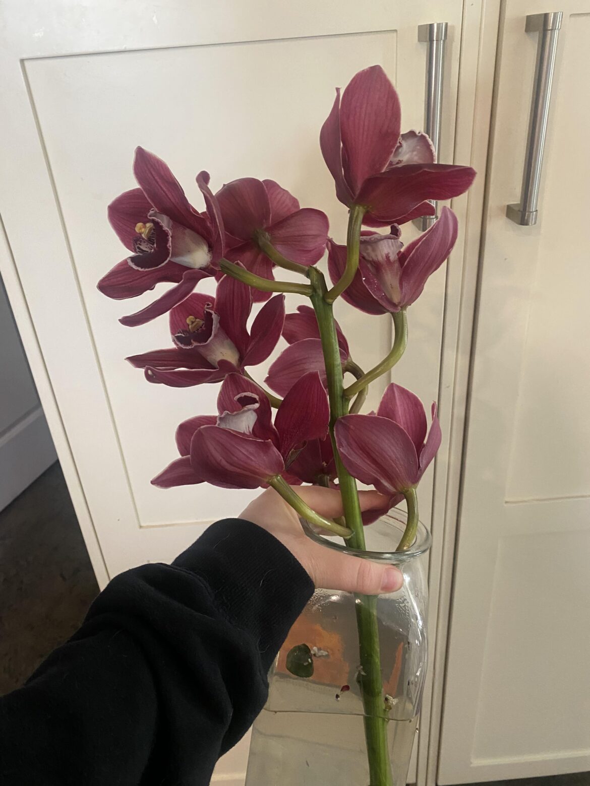 Need help! Time is of the essence.