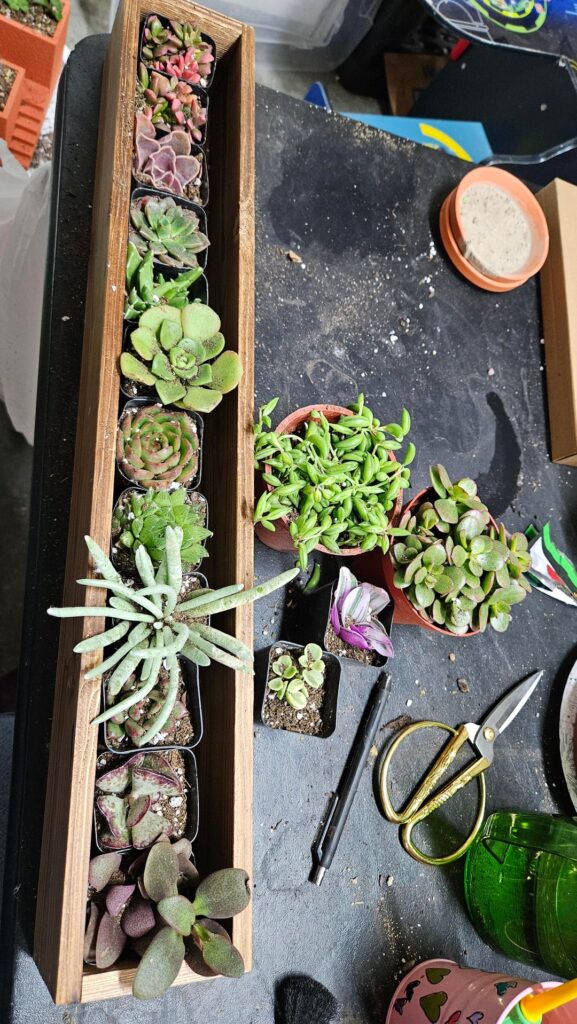 I found a new deal, er merchant