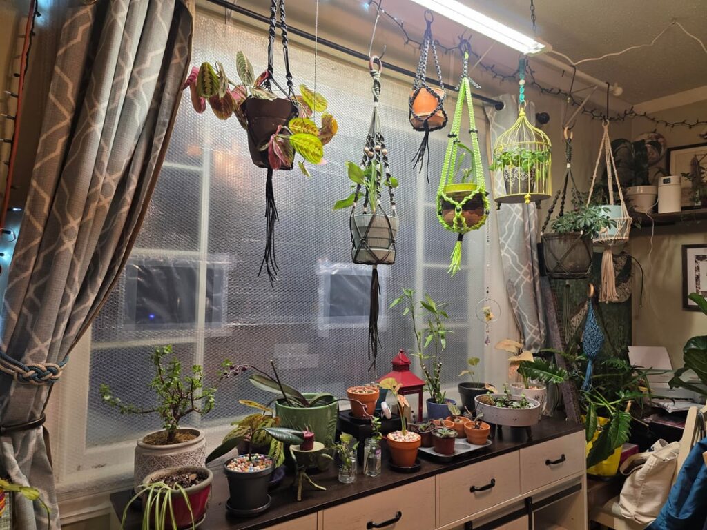 Thriving in the deep, dark north!