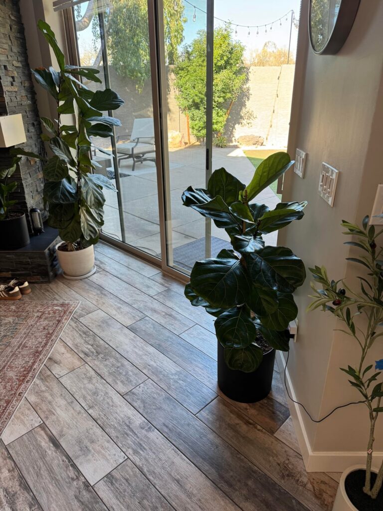 Losing leafs left and right!