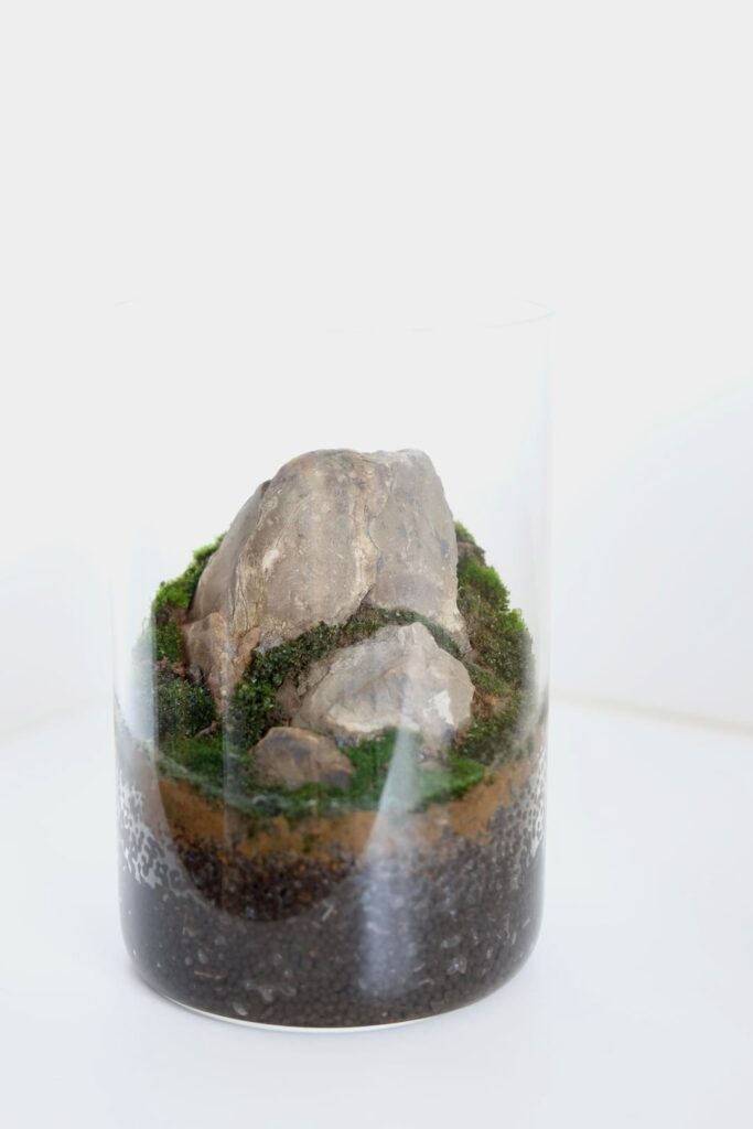 Better pictures of my mini mountain terrariums