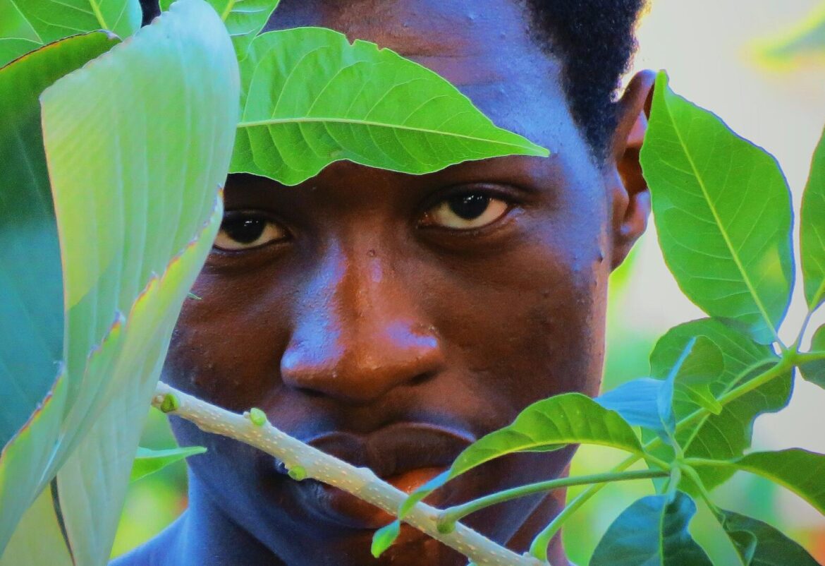 Not even savages shoot Malawian gardeners Not even savages shoot Malawian gardeners