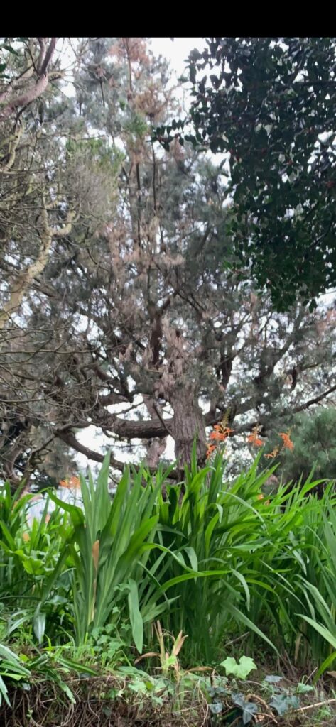 In awe but also terrified!