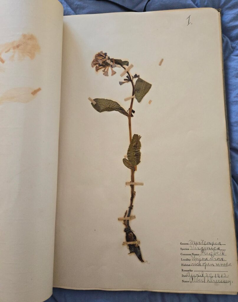 Old Field Journal Old Field Journal