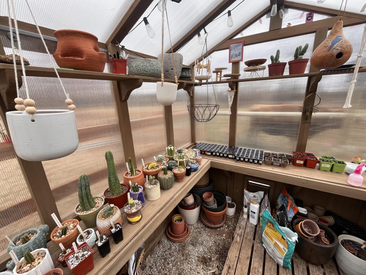 such a wonderful time of the year for the greenhouse