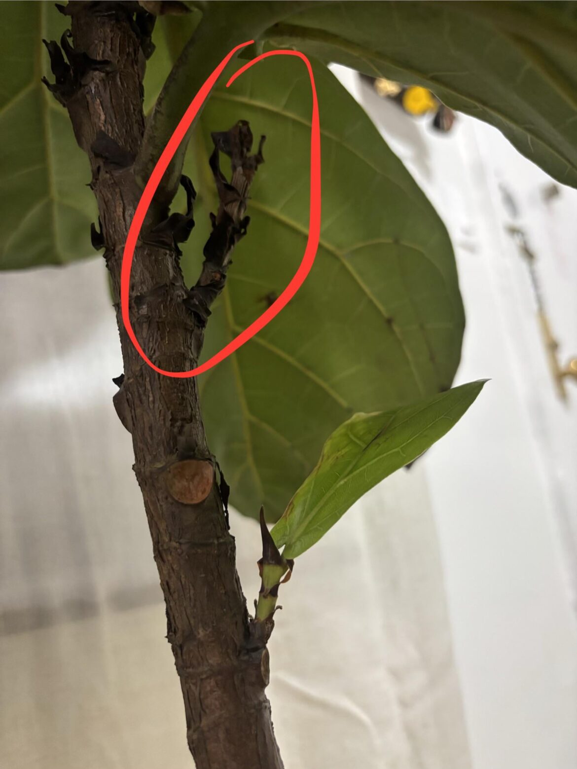 Can I propagate this?