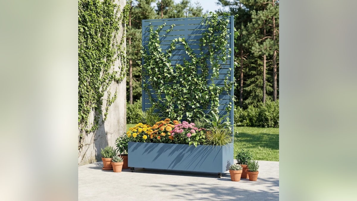 Make the most of minimal outdoor space.