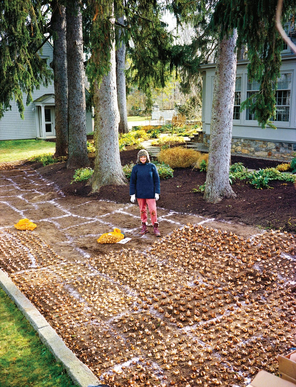 martha stewart gardening