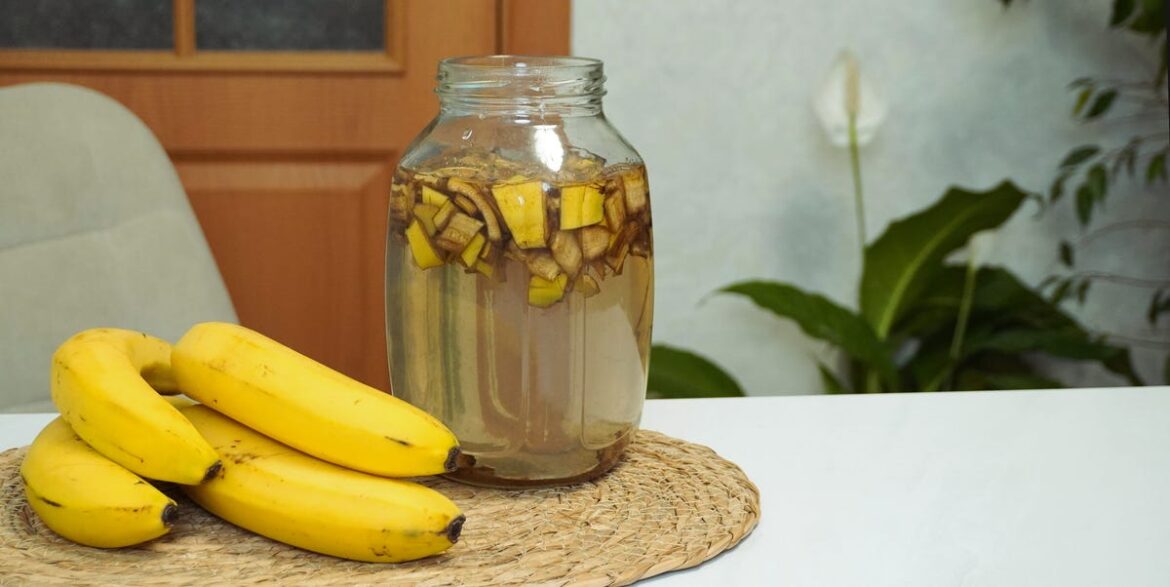 Can You Use Banana Water as Plant Fertilizer? An Expert Answers Can You Use Banana Water as Plant Fertilizer? An Expert Answers