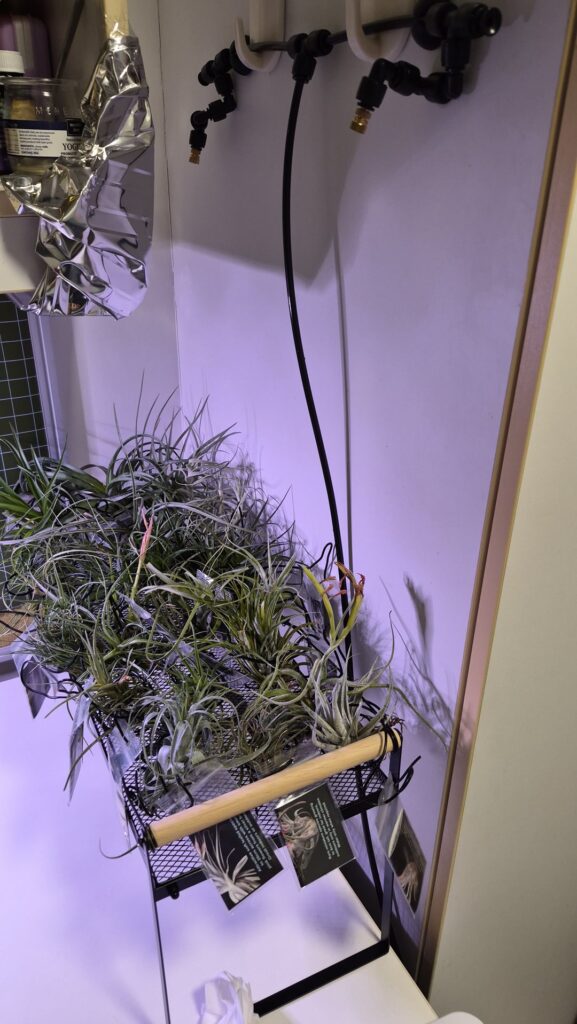 New Layout gonna get a mini oscillating fan for breeze simulation