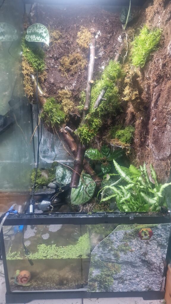 This is my first build This is my first build