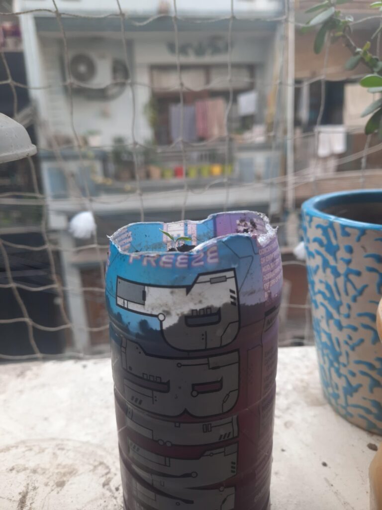 We gonna get hydrated tomato