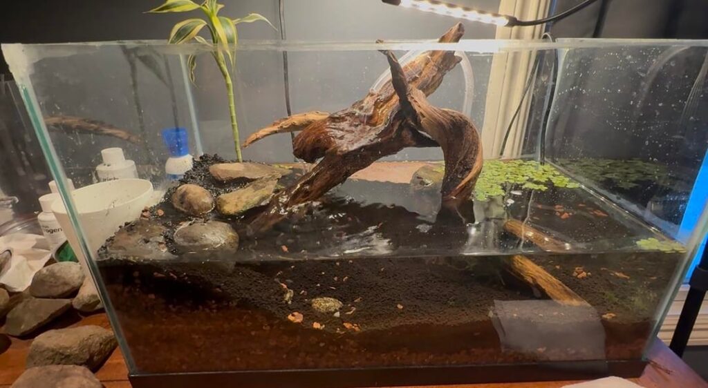 Advice for improvements?