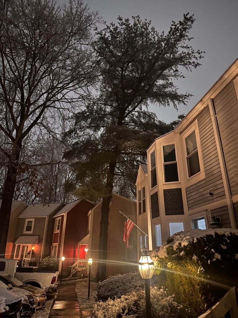 Tree leaning of Concern?